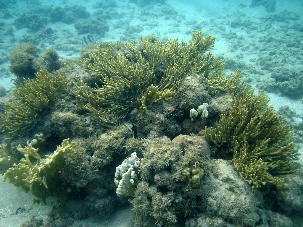 Pousada Mariluz มาราโกจี ภายนอก รูปภาพ